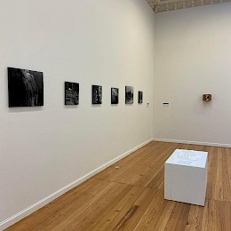 Knowing me. Knowing you. These are Curious Hands Exhibition View. Knowing Me. Knowing You. Paul Hondtong(left) and Wopke Oldenburger (right).