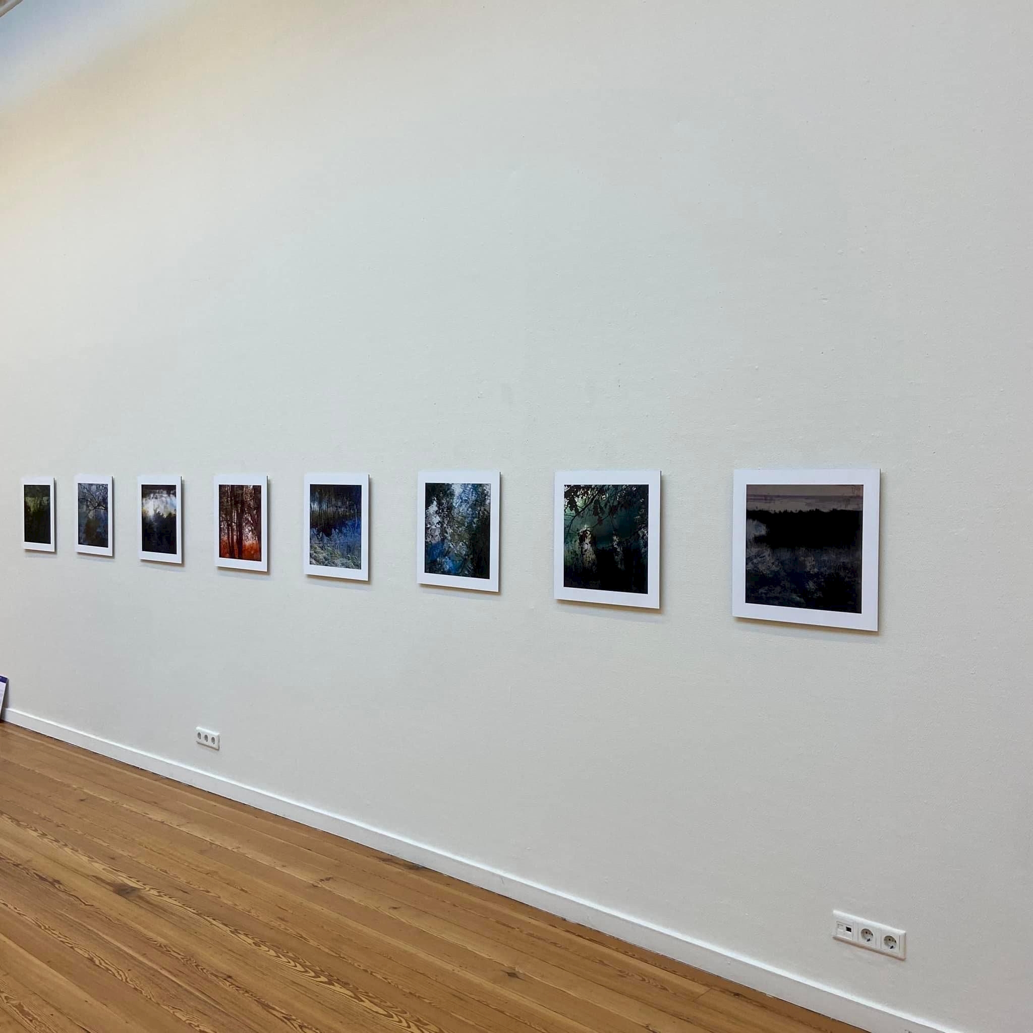 Knowing me. Knowing you. These are Curious Hands Exhibition View. Knowing Me. Knowing You. Johanna Wenke.