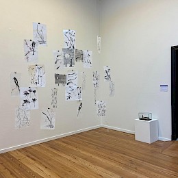 Knowing me. Knowing you. These are Curious Hands Exhibition View Knowing Me. Knowing You. Janine ter Horst.