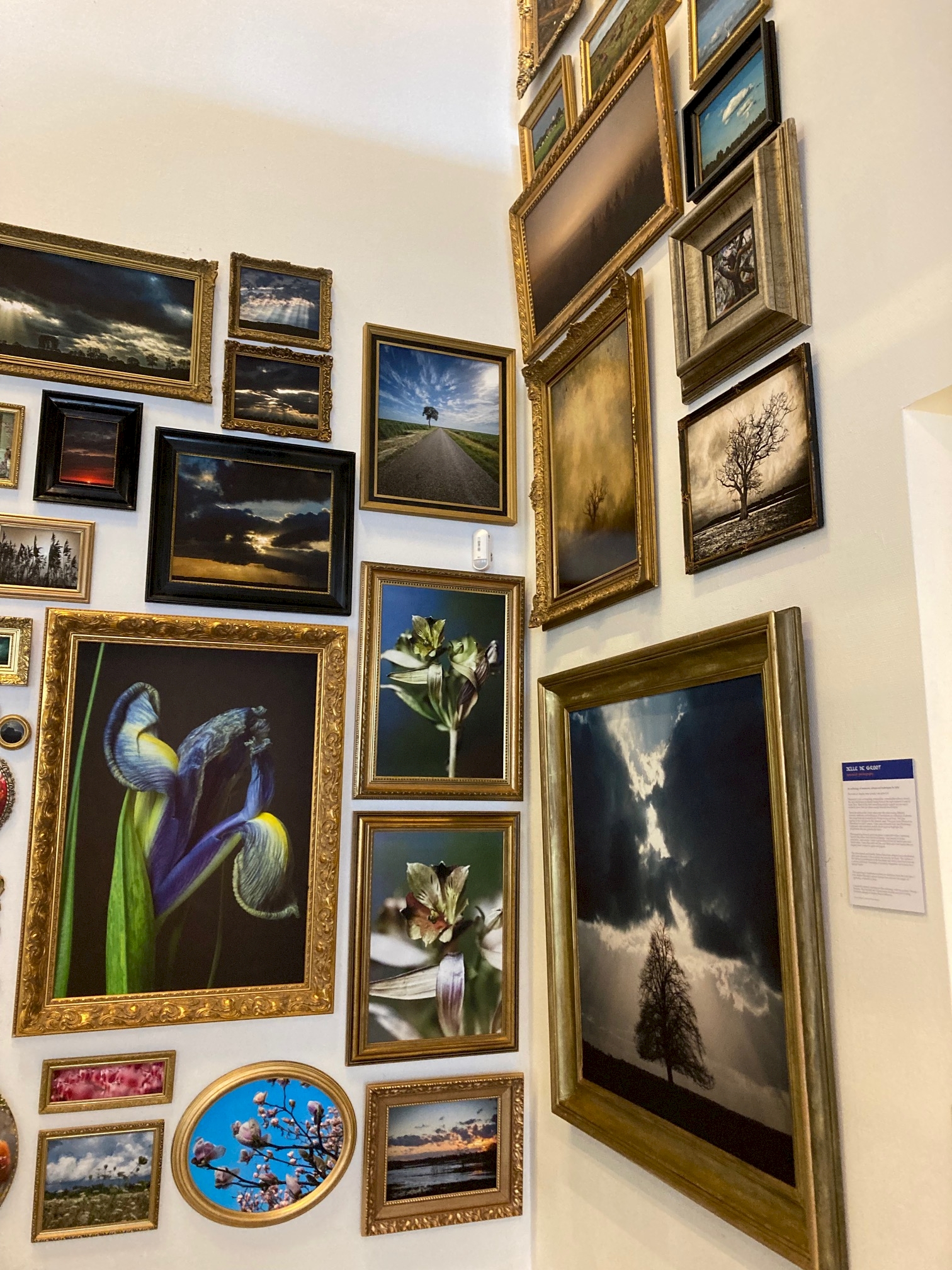 Knowing me. Knowing you. These are Curious Hands Exhibition View Knowing Me. Knowing You. Jelle de Groot.